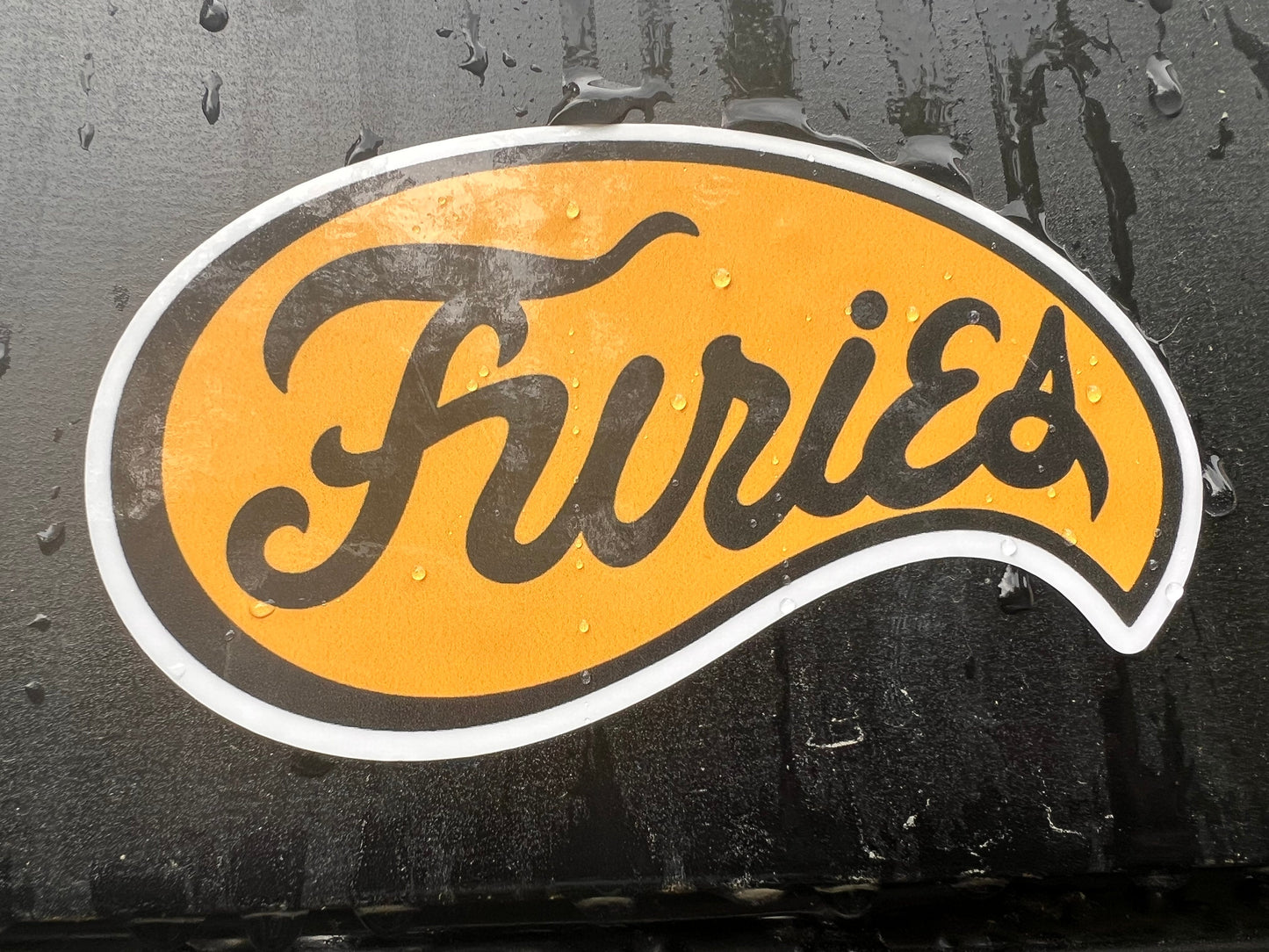 The Warriors Baseball Furies Sticker